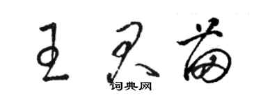骆恒光王君苗草书个性签名怎么写
