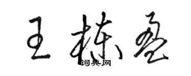 骆恒光王栋盈草书个性签名怎么写
