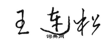 骆恒光王连松草书个性签名怎么写