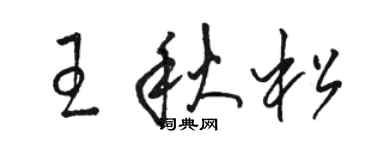 骆恒光王秋松草书个性签名怎么写