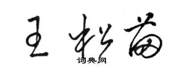 骆恒光王松苗草书个性签名怎么写