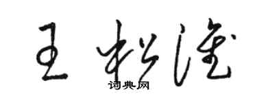 骆恒光王松淮草书个性签名怎么写