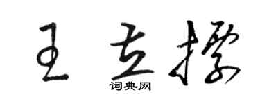 骆恒光王立标草书个性签名怎么写