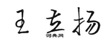 骆恒光王立扬草书个性签名怎么写