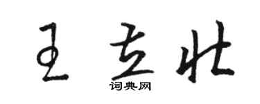 骆恒光王立壮草书个性签名怎么写