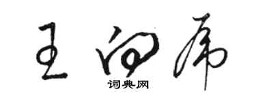 骆恒光王向虎草书个性签名怎么写