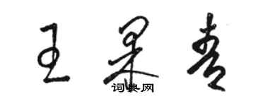 骆恒光王果青草书个性签名怎么写