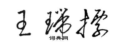 骆恒光王瑞标草书个性签名怎么写