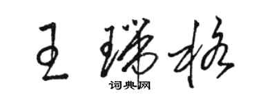 骆恒光王瑞格草书个性签名怎么写