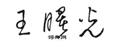 骆恒光王曙光草书个性签名怎么写