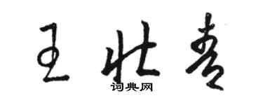 骆恒光王壮青草书个性签名怎么写