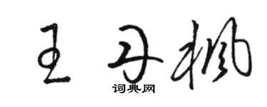 骆恒光王丹枫草书个性签名怎么写