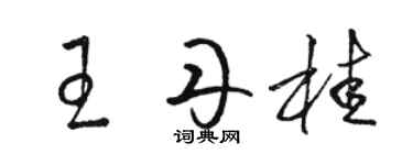 骆恒光王丹桂草书个性签名怎么写