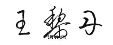 骆恒光王黎丹草书个性签名怎么写