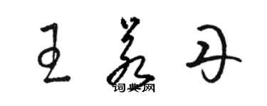 骆恒光王若丹草书个性签名怎么写