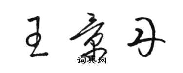骆恒光王景丹草书个性签名怎么写