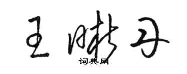 骆恒光王晰丹草书个性签名怎么写