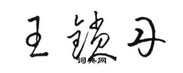 骆恒光王锁丹草书个性签名怎么写