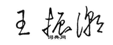 骆恒光王振潮草书个性签名怎么写