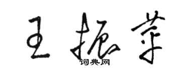 骆恒光王振苹草书个性签名怎么写
