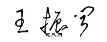 骆恒光王振闻草书个性签名怎么写