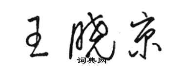 骆恒光王晓京草书个性签名怎么写