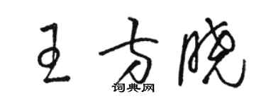 骆恒光王方晓草书个性签名怎么写