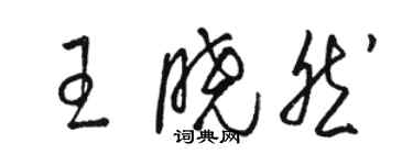 骆恒光王晓然草书个性签名怎么写