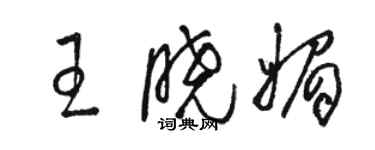 骆恒光王晓媚草书个性签名怎么写