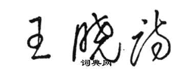 骆恒光王晓诗草书个性签名怎么写