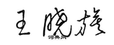 骆恒光王晓旗草书个性签名怎么写