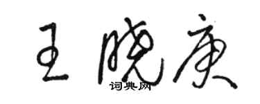 骆恒光王晓庚草书个性签名怎么写