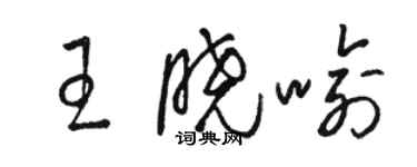 骆恒光王晓喻草书个性签名怎么写