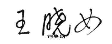 骆恒光王晓女草书个性签名怎么写