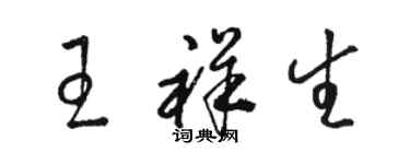 骆恒光王祥生草书个性签名怎么写