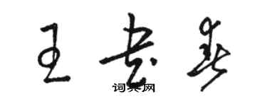 骆恒光王书春草书个性签名怎么写