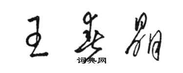 骆恒光王春晶草书个性签名怎么写