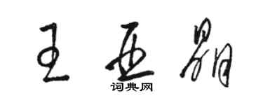 骆恒光王亚晶草书个性签名怎么写