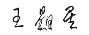 骆恒光王晶星草书个性签名怎么写
