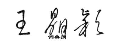 骆恒光王晶颖草书个性签名怎么写