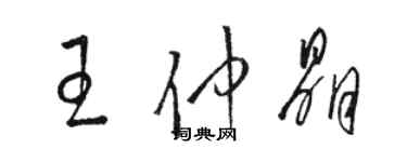 骆恒光王仲晶草书个性签名怎么写