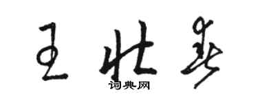 骆恒光王壮春草书个性签名怎么写