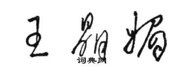 骆恒光王晶媚草书个性签名怎么写