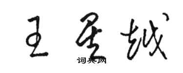 骆恒光王星越草书个性签名怎么写