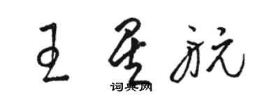 骆恒光王星航草书个性签名怎么写