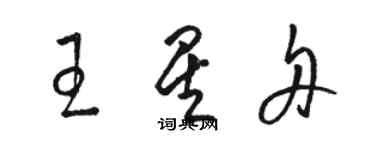 骆恒光王星舟草书个性签名怎么写