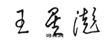 骆恒光王星澎草书个性签名怎么写