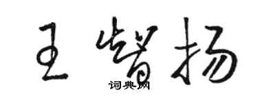 骆恒光王智扬草书个性签名怎么写