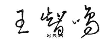 骆恒光王智鸣草书个性签名怎么写