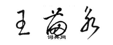 骆恒光王苗永草书个性签名怎么写